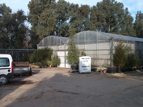 Vivero Forestal del Embalse García Sola de la Confederación Hidrográfica del Guadiana (Badajoz)