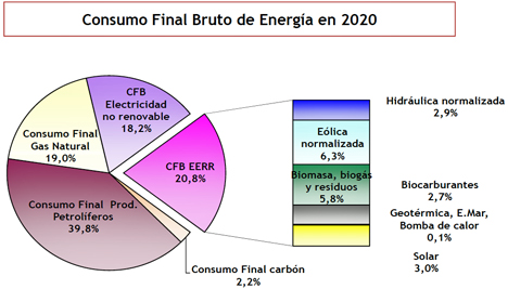 Consumo Final Bruto de Energía en 2020