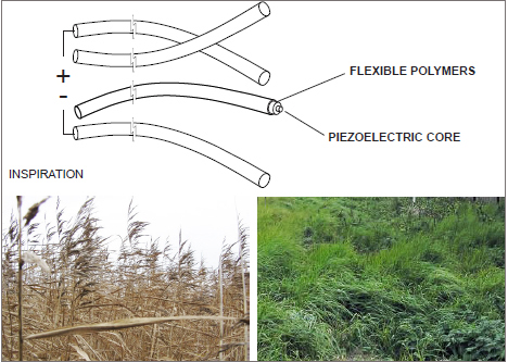 Esquema de los filamentos piezoeléctricos 