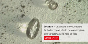 StoColor Lotusan