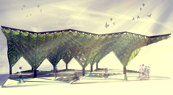 Urban Algae Canopy.