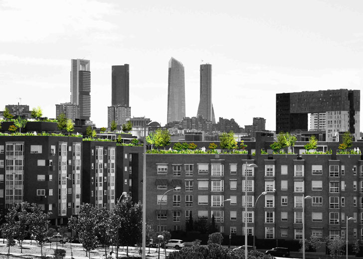 Imagen de espacios urbanos con cubiertas vegetales.