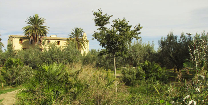 Taller de cálculo de huella de carbono en Valencia.