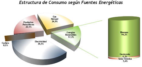 Consumo según fuentes energéticas