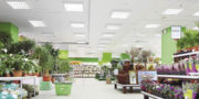 Ledplus de Gas Natural Fenosa
