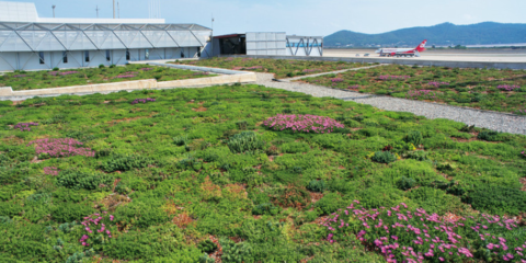 Jornada sobre Cubiertas Verdes y Ajardinamientos Verticales de ASESCUVE