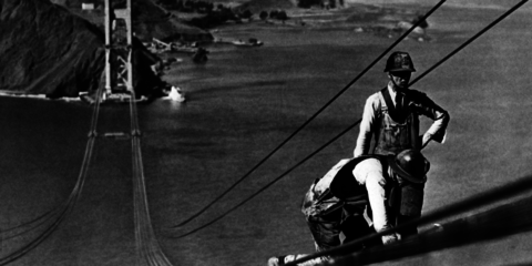 Abierta convocatoria para trabajar en un Proyecto de Investigación de Ecosistema Urbano