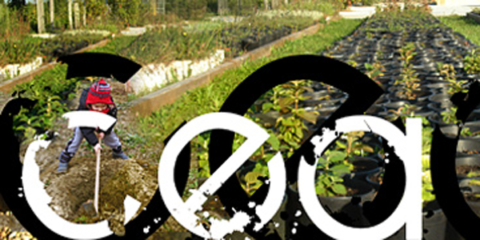 Abierta inscripción para la Tercera Edición del Programa Hogares Verdes