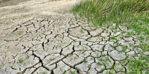 Murcia acogerá las II Mesas de Trabajo de adaptación al Cambio Climático