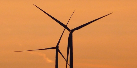 El Gobierno destinará 336 millones de euros a Proyectos de entidades locales que reduzcan emisiones de CO2