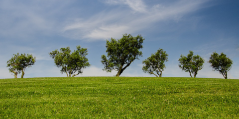 Abierto el proceso para participar en la Estrategia de Economía Verde y Circular de Extremadura