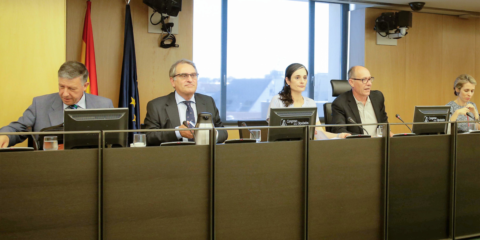 Medio Ambiente abrirá próximamente una consulta pública sobre la futura Ley de Cambio Climático y Transición Energética
