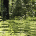 Unos 232.000 alumnos andaluces han participado en el programa Aldea de educación Ambiental