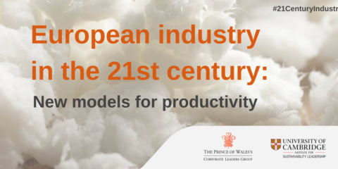 Informe que insta a la Unión Europea a promover políticas que apoyen la Economía Circular