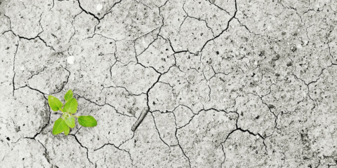 La Casa que Ahorra se suma a la lucha contra el Cambio Climático