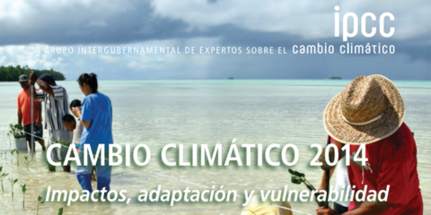 El IPCC abre plazo para selección de expertos para la elaboración de Sexto Informe de Evaluación