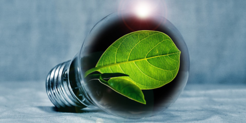 El Gobierno Vasco destina 825 mil euros a tres programas de Ecoinnovación