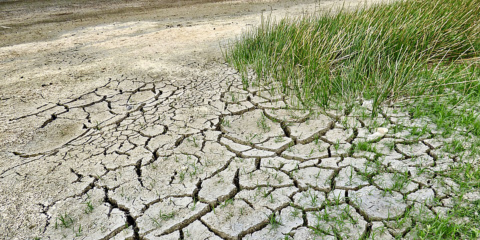 La Estrategia Zaragoza+20 plantea retos ambiciosos contra el Cambio Climático