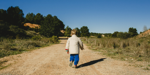 Expertos europeos en Sostenibilidad se reúnen en Paterna para diseñar el Ecobarrio La Pinada