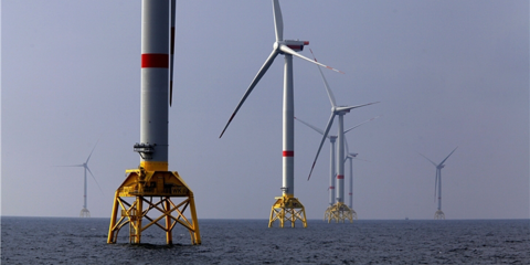 Iberdrola ratifica su compromiso de lucha contra el Cambio Climático