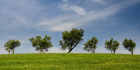 Gran acogida de los cursos de liderazgos verdes dentro del proyecto de Economía Verde y Circular Extremadura 2030