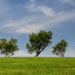 Gran acogida de los cursos de liderazgos verdes dentro del proyecto de Economía Verde y Circular Extremadura 2030