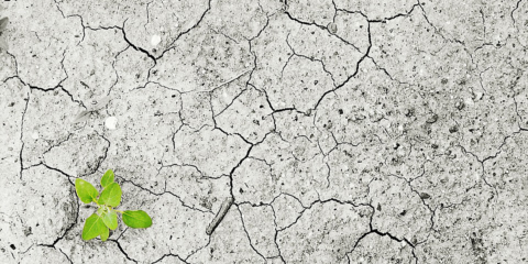 La UE espera avances en la aplicación del Acuerdo de París en la Conferencia Climática de la ONU en Bonn