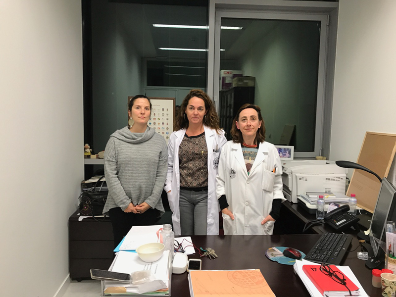 Las investigadoras Romina D. Farías, Carmen Martínez García y Teresa Cotes Palomino, autoras del artículo. 
