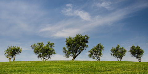 Ya se puede consultar la información pública de la Estrategia de Economía Verde y Circular Extremadura 2030