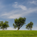 Ya se puede consultar la información pública de la Estrategia de Economía Verde y Circular Extremadura 2030