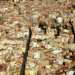Los hogares valencianos reducen su consumo Energético gracias al Plan de Ahorro impulsado por el IVACE