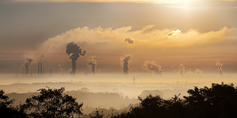 Acuerdo entre la OMS y PNUMA para combatir la contaminación Medioambiental