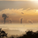 Acuerdo entre la OMS y PNUMA para combatir la contaminación Medioambiental