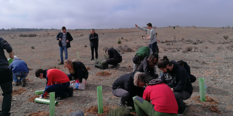 La cantera de Yepes-Ciruelos de LafargeHolcim acoge una Jornada de Restauración Ecológica