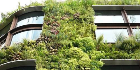 Investigadores demuestran que los Jardines Verticales son una solución efectiva para los climas mediterráneos