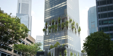 Singapur quiere transformar su centro financiero en una zona «verde»