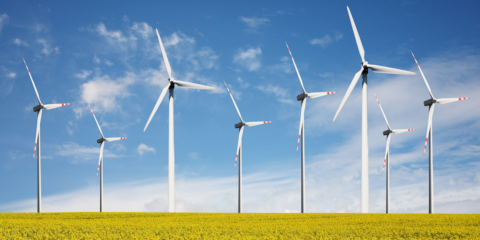 El proyecto europeo finMED impulsa la financiación de la innovación en sectores sostenibles