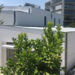House Habitat concluye en San Cugat una vivienda sostenible y saludable con estructura de madera CLT