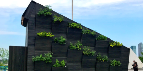 ONU Medio Ambiente y la Universidad de Yale diseñan un modelo de vivienda ecológica de materiales renovables