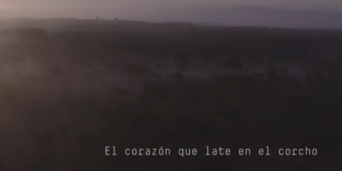Vídeo corporativo de Amorim Revestimentos