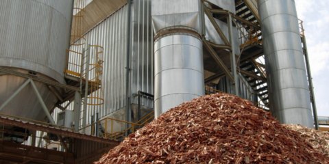 El Gobierno de Andalucía aprueba la nueva Estrategia de Bioeconomía Circular