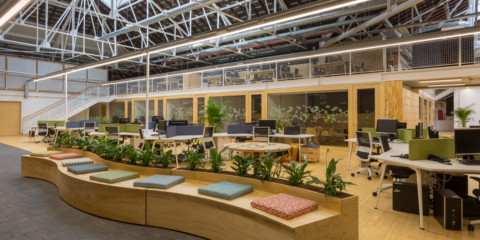 La nueva sede de la Fundación Biodiversidad aúna importantes elementos de la rehabilitación sostenible