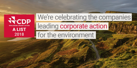 CDP reconoce mundialmente a Naturgy por sus índices de sostenibilidad y medio ambiente