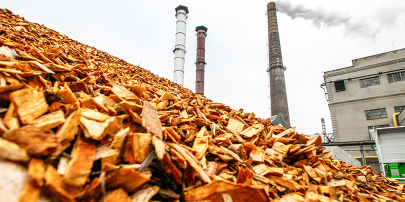 El proyecto europeo Rehap busca materiales para la construcción ecológica a partir de residuos agrícolas y forestales 