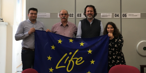 Badajoz impulsa la implantación de cubiertas vegetales y jardines verticales en edificios públicos