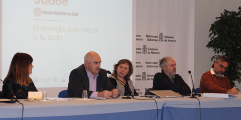 Navarra utilizará la biomasa forestal autóctona como fuente renovable para el sistema de calefacción de viviendas