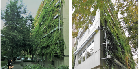 Fachadas vegetales combinadas con energías renovables potencian la arquitectura en edificio público de consumo de energía casi nulo testado y en uso en Madrid