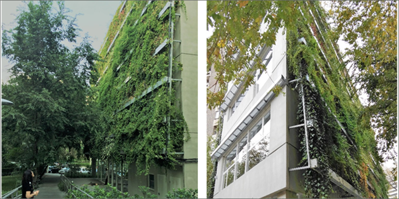 edificio de fachada verde