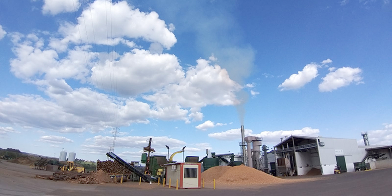 Una planta de producción de biomasa en pleno funcionamiento.