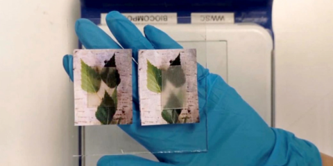 KTH en Suecia desarrolla un material de madera para ventanas que regula la temperatura